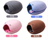 贝壳3