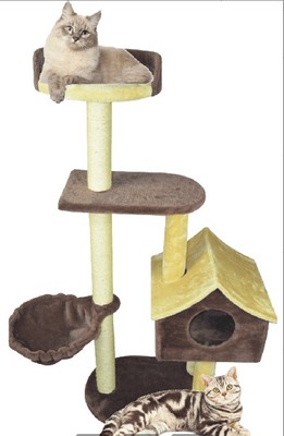 cat tree-149
