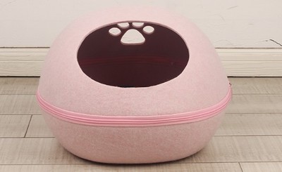 蛋1