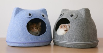 猫头1