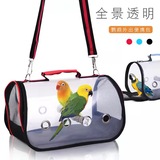 2件套鹦鹉