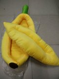 31049