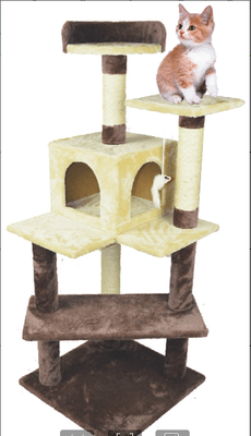 cat tree-151
