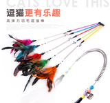 猫逗16