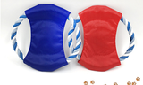 toy of frisbee