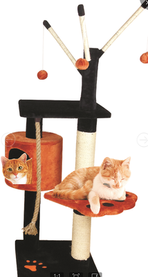 cat tree -120
